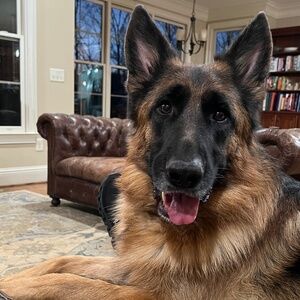 Meet your Posher, Kelley